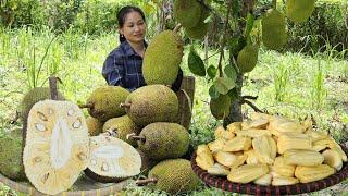 Harvest Jackfruit Orchards market to sell - Prepare dishes from jackfruit | Lý Phúc An