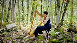 Moss, Wood and Thicket by Stephanie Claussen | Harp Solo