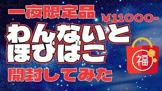 一夜限定の福箱『わんないとほびばこ』開封してみた！