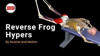 Master Reverse Frog Hypers: Build Glutes & Core Stability