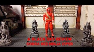 Black Sky's G.I.JOE Red Ninja Viper O-Ring Style Action Figure Review