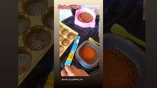 tips for winter cat food #cat #homemadecatfood #catlife #coco #catcaretips #yt #shorts #youtube