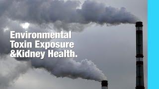 Environmental Toxins And Kidney Health