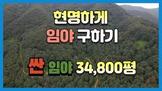 매물805 고속도로, 포천시청 종합병원 25분 거리 임야, 자연과 함께 산양삼 재배하기 좋은 포천임야