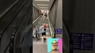 Hilarious Capybara Reacts To Funniest TikTok Video #shorts #viralshorts #funnytiktok #reactionshorts