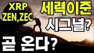 리플 비트코인  XRP  향후  몇개월이  당신의 인생을 결정합니다  왜냐하면?