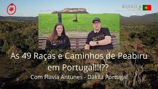 As 49 Raças e Caminhos de Peabiru em Portugal!!?? Com Flavia Antunes - Dakila Portugal