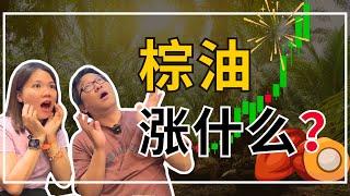 棕油CPO涨什么？是虚火吗？｜八卦大小文