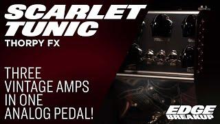 Thorpy FX Scarlet Tunic - Guitar Pedal Demo (Three Analog Amp Pedals in One!)