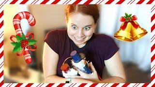 Decorate for Christmas with us! (Vlogmas 2019 - Day 1)