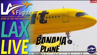 LIVE LAX: Los Angeles International Airport  | LIVE Plane Spotting LAX