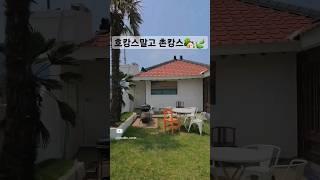 요즘대세는 촌캉스 통영 가성비숙소 더고요 에어비엔비 한옥독채펜션 #통영숙소추천 #감성숙소 #촌캉스 #한옥펜션 #시골집 #쇼츠추천