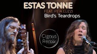 Estas Tonne feat. Peia Luzzi - Bird's Teardrops (Cignus Remix)