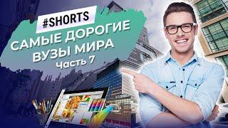 В каких ВУЗах самая высокая стоимость образования? #Shorts