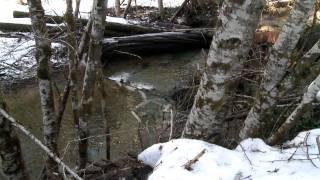 Grant's Getaways: Visitor Friendly Hatcheries