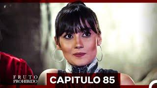 Fruto Prohibido Capitulo 85 (Doblado en Español)