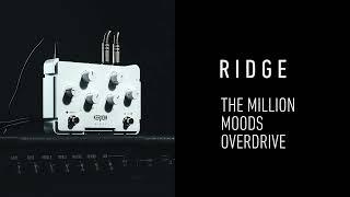  All Overdrive tones in one pedal - Analog warmth & MIDI control