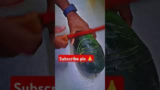 watermelon cutting ideas design trick #ytshort #chef #trendingshorts