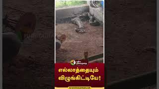 எல்லாத்தையும் விழுங்கிட்டியே! #shorts #vellore