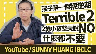 孩子第一個叛逆期Terrible 2系列第3集，2歲小孩整天說NO什麼都不要 | 科學育兒