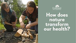 How does nature transform our health? | Coed Lleol (Small Woods)