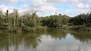 FURZEBRAY LAKES, SOUTH MOLTON, DEVON