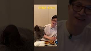 아주 보통의 남편 한동훈도 설거지하냐는 질문에 대한 답 ''설거지요 또 누가 하겠습니까''