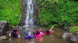 2-24-18 Moanalua Falls [4K]