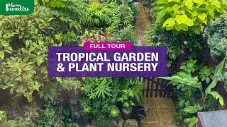 TOUR our Tropical Garden & Tropical plant nursery