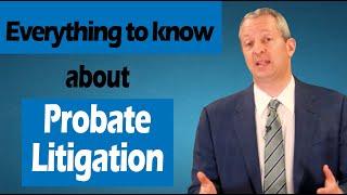 Everything You Should Know About Probate Litigation