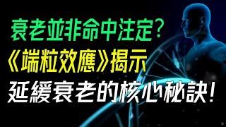 衰老並非命中注定？《端粒效應》揭示延緩衰老的核心秘訣！學會3個方法爲端粒“減壓的方法。   好的，以下是一組繁體的關鍵詞：#延緩衰老 #端粒效應 #抗老秘訣 #長壽健康 #細胞再生 #情緒管理