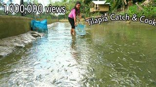 Harvesting Tilapia From Our Fishpond-Buhay Probinsya