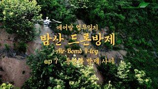 공주 정안면 밤산 드론방제