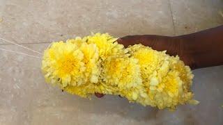 How to make samanthi flower garland||simple and easy way to string flower garland|samanthi poo malai