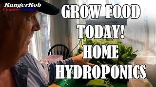 Easy Hydroponics for Beginners, Start Growing Food Today