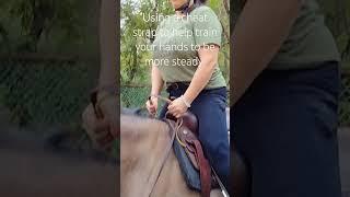 #horse #hacks #better #steady #soft #hands on the #reins #horsemanship #bitless