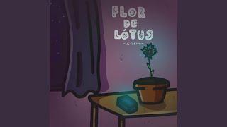 Flor de lótus