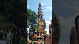 Sekali lagi dunia menjadi saksi, Megahnya pelebon Puri Ubud Alm. Cokorda Istri Rai Dharmawati #ubud