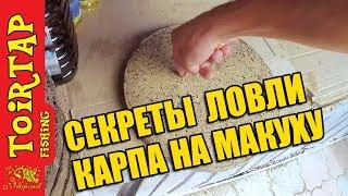 Секреты ловли КАРПА!! | Ловля карпа на макушатник! | Как правильно выбрать макуху!!