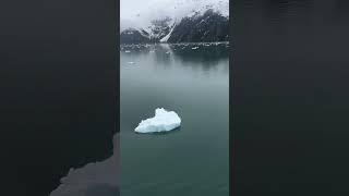 Alaska glacier bay like heaven. #heaven #usa #travel #alaska #glacier #india #shots