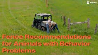 Fence Recommendations for Animals with Behavior Problems | Bekaert Fencing