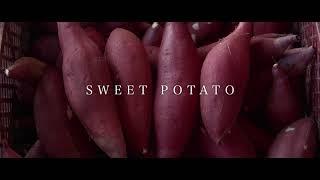 【Japapo】EN Japan potato Ltd. - introduction movie -