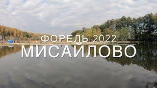 Мисайлово траут осень 2022. Форель.