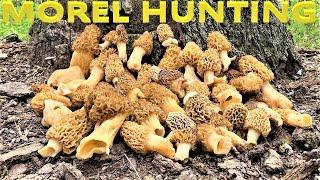 HUNTING MOREL MUSHROOMS! BEST HUNT EVER!!