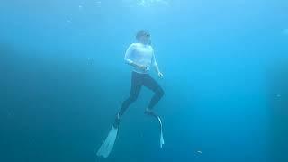 Moments of Solitude is a Must for Entrepreneurs (freediving with schools of fish)