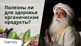 Полезны ли для здоровья органические продукты?