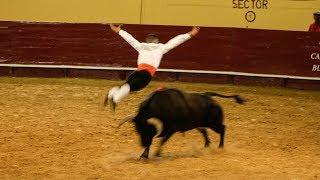 Men jumping over a charging bull - Recortadores