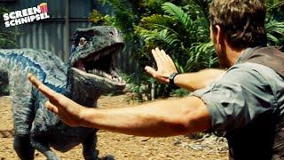 Blues und Owens Geschichte | Jurassic World | Screen Schnipsel