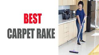 10 Best Carpet Rakes of 2022 