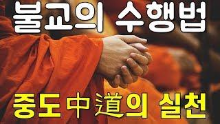 불교의 수행법, 중도의 실천, 도성제, 사념처, 명상 - 반야심경 강의(무고집멸도)